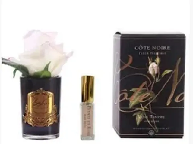 Rose Bud 6s in Blackl- Pink Blush
