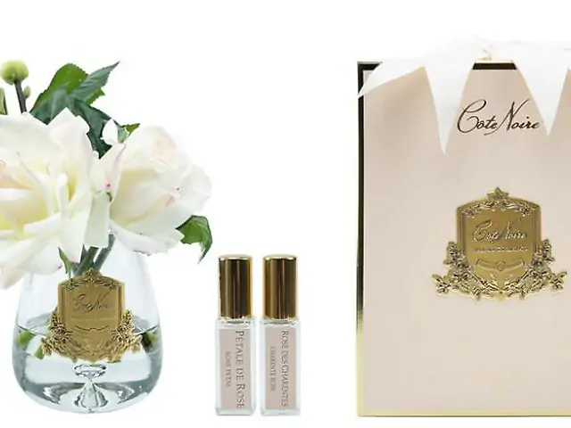 Tea Rose Pink Blush-Clear Glass with Gold