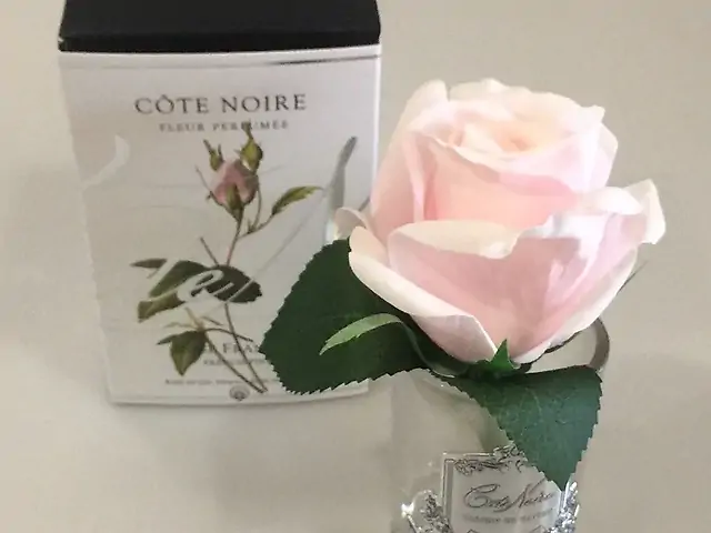 Rose Bud French Pink Clear Glass Cote Noire