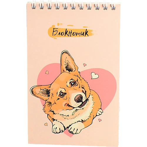 Блокнот Поліграфіст А6 48 арк спіраль кліт. асорті