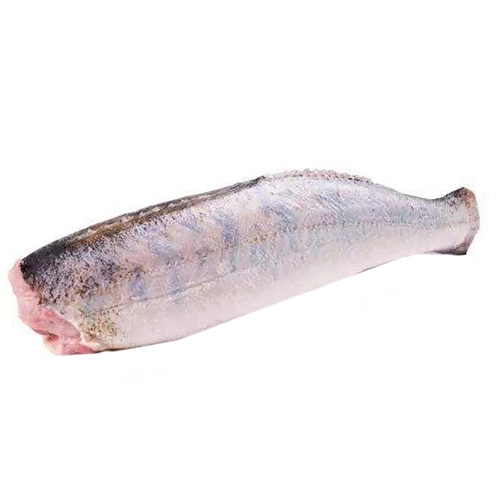 Філе Судака