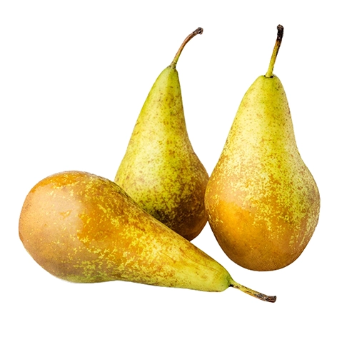 Груша Конференція Україна