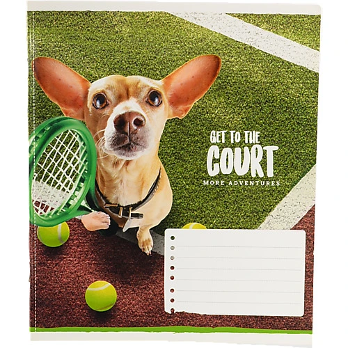 Зошит Школярик 18л лінійка