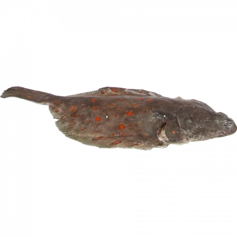 Риба Камбала морська Плейс (300-400) охол. ваг.