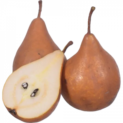 Груша Вільямс (Україна) вага