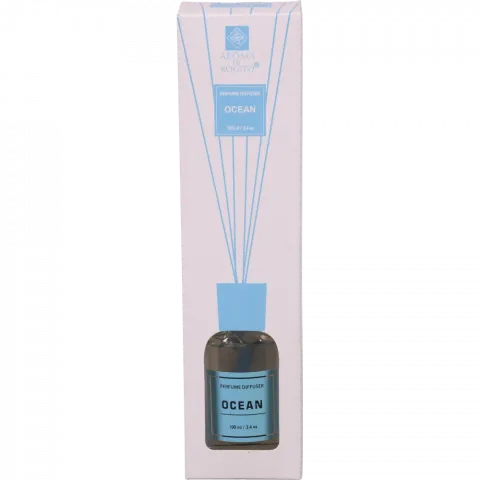 Аромадифузор для оселі, 100 мл, 5 ротангових паличок 462101110 И983 (КІН)