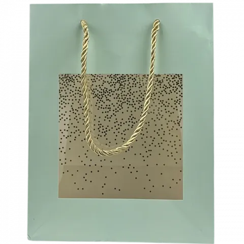 Пакет подарунковий паперовий 23Х18Х10 см арт. 070S-5985 И799